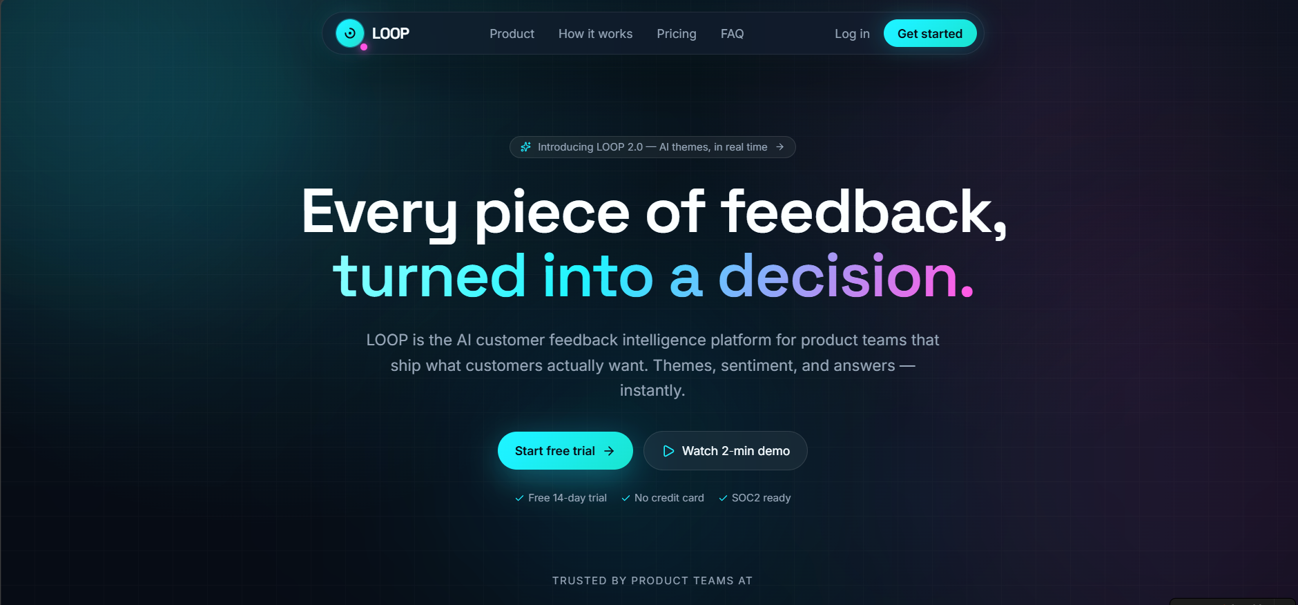 LOOP AI Customer Feedback Intelligence Platform